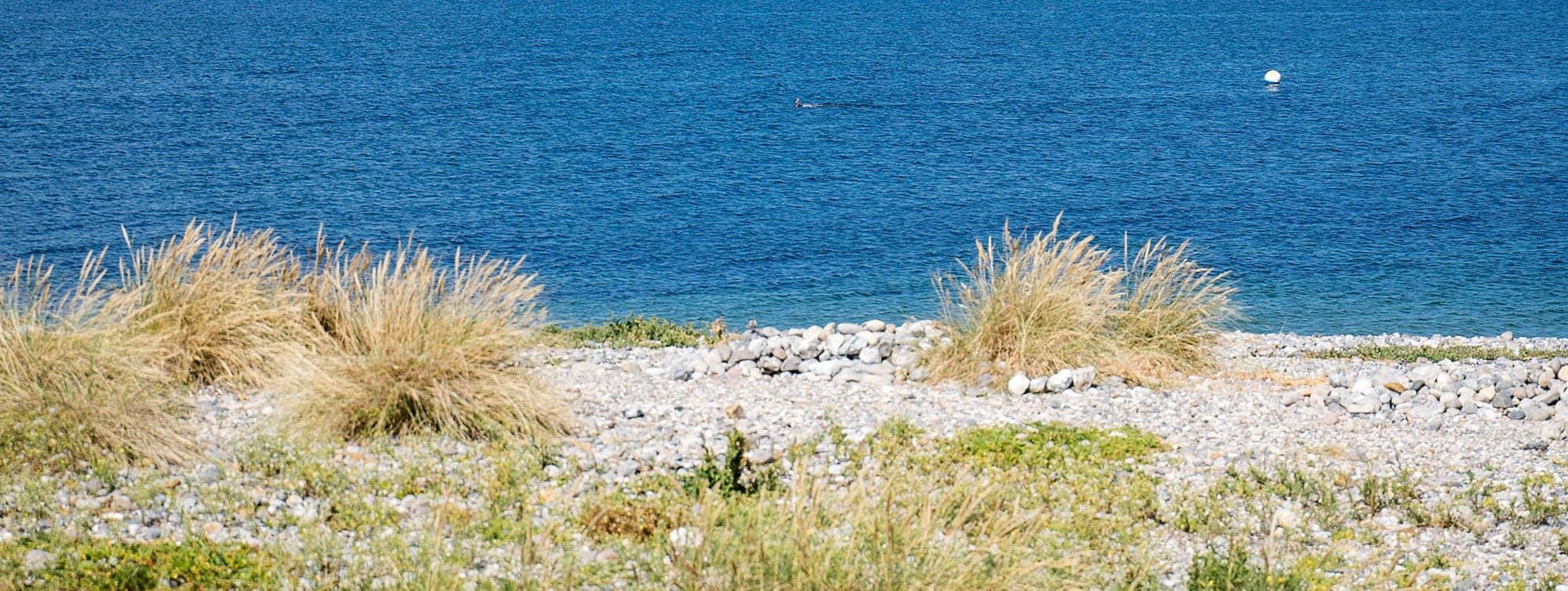 Luftaufnahme des Strandcamping Wallnau zwischen Kornfeldern und der Ostsee
