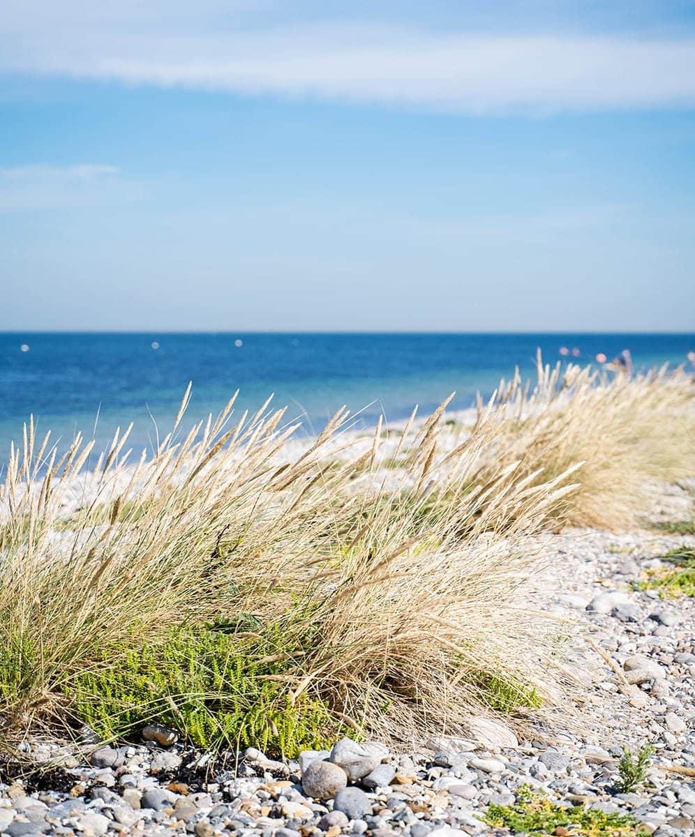 Der Strand direkt vor dem Wellnesshaus