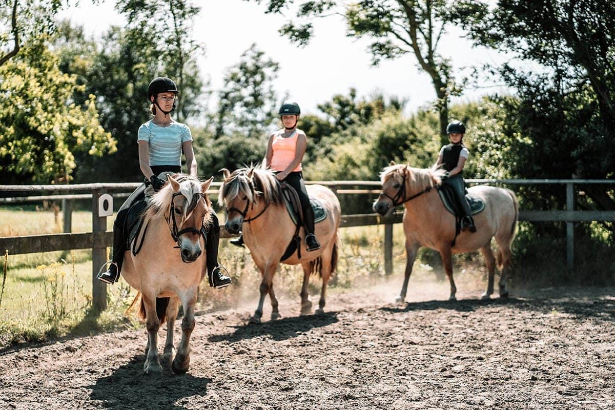 Drei Kinder auf Ponys in der Reitbahn der Sunset-Farm